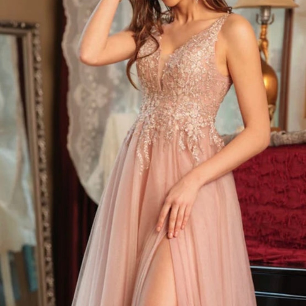 Peach Lavetir Dress New Rack display